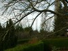ARBRES EN AUTOMNE